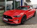 Ford Mustang V8 450 PS
